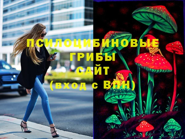 spice Алексеевка