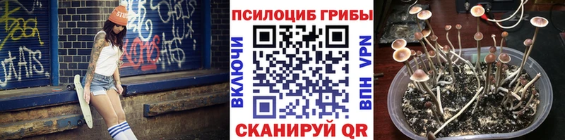 мориарти состав  Вихоревка  Галлюциногенные грибы Psilocybine cubensis 
