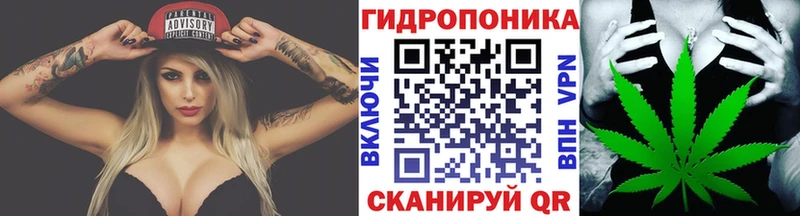 закладки Вихоревка Бошки марихуана White Widow